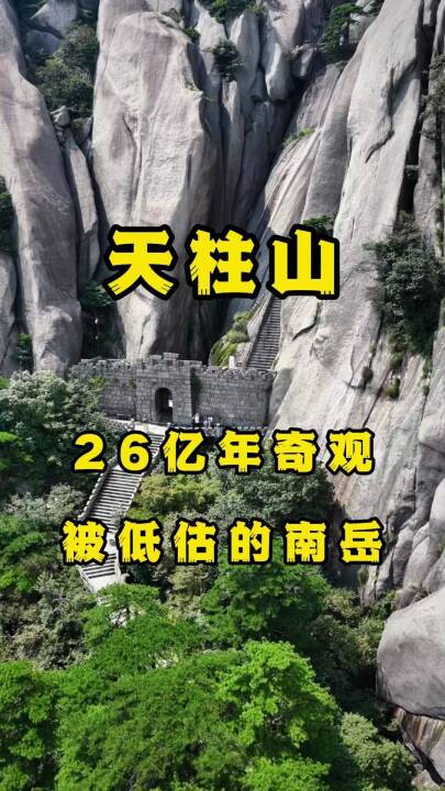 信息 10 视频封面